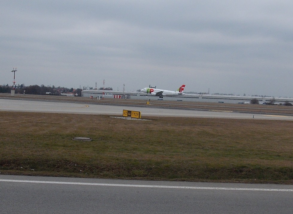TAP Air Portugal 2.JPG